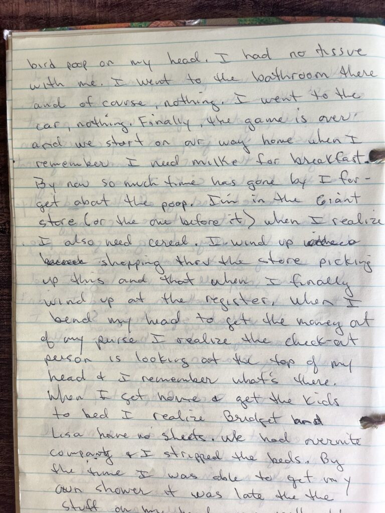The bird poop story